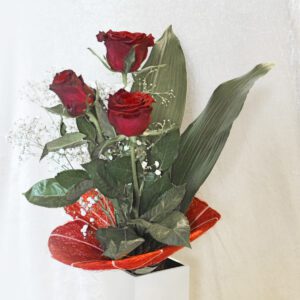 3 rose rosse