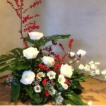 centr.natale fiori frenschi