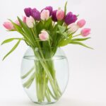 bouquet tulipani misti